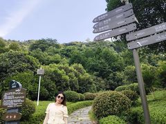 -桃花岭景区