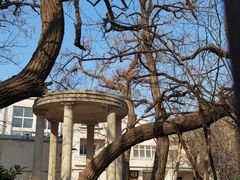 -天津五大道文化旅游区