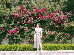 -龙口南山旅游景区