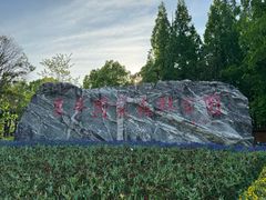 -东平国家森林公园