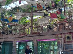 -南宫五洲植物乐园