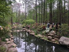 -上海共青森林公园