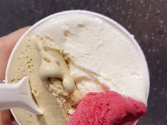 -Dip in Gelato(富民路店)
