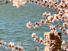 -北海公园