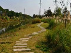 -上海长兴岛郊野公园