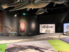 -重庆自然博物馆(新馆)