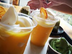 -雪绿茶博物馆