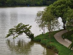 -顺峰山公园