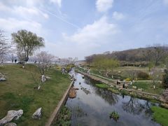 -羊山湖公园