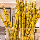 啥情况？老广去永庆坊都抢着喝“三无饮品”⁉️