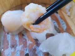 水晶虾饺-肥佬夜茶(早茶·西乡店)