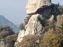 -秦岭风景区