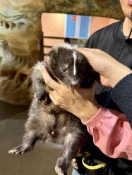 -Zoolung Zoolung动物主题公园(海信广场店)