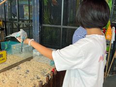 -顺德南宏海立方海洋公园