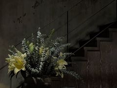 -Apollo·西班牙小酒馆(安福路店)