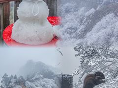 -瓦屋山景区