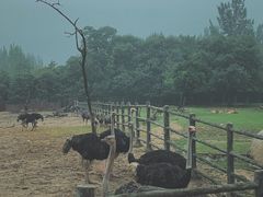-西安秦岭野生动物园