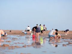 -渡海小渔村.老辈日照菜