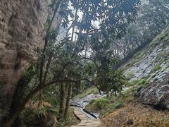 -武夷山风景名胜区-虎啸岩