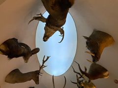 -陕西自然博物馆