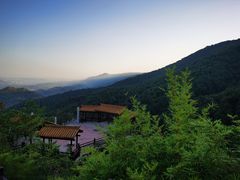 -铁山坪森林公园