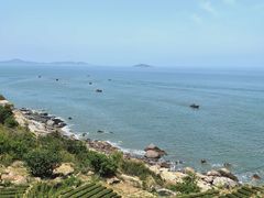 -禾斗海鲜自助(市南银座店)