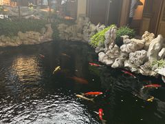 -鲤院·新中式美学·庭院餐厅(夫子庙店)