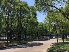 -安飞驰驾校·学车连锁(金高店)