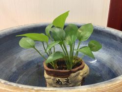 -伊然科技美肤·健康管理中心