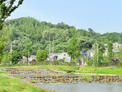 -千年银杏谷文化旅游区