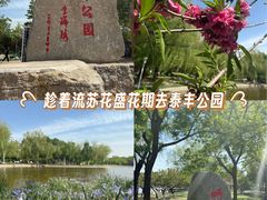 -泰丰公园