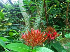 -华南国家植物园-售票处