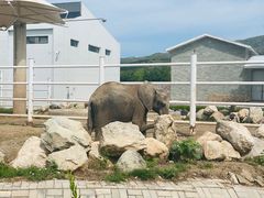 -大青山野生动物园
