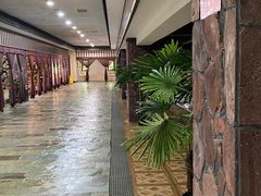 -将军石酒店温泉