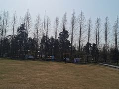 -前小桔亲子创意农场·草莓采摘·露营烧烤