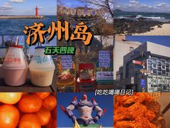 -济州岛泰迪熊博物馆