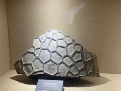 -安徽省地质博物馆