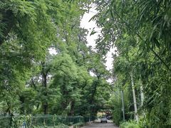 -丽泽山庄·生态怀柔菜·虹鳟鱼(红螺寺店)
