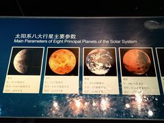 -烟台自然博物馆