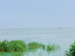 -梨云山居农家乐