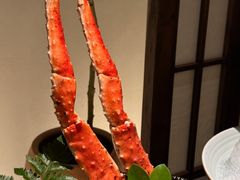 -上井料理黑金店(IFS国金中心店)
