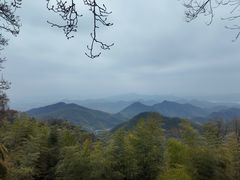-莫干山风景区