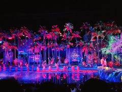 -三亚红色娘子军演艺公园景区