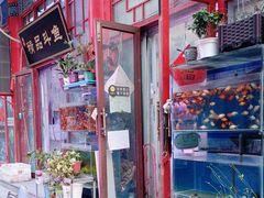 -华声天桥民俗文化园