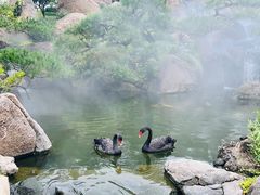 -罗红摄影艺术馆