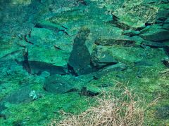 -叠溪松坪沟景区