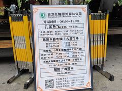 -西双版纳原始森林公园