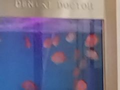 -牙博士口腔品牌连锁(杨浦店)