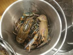 -川骄海鲜自助(河东店)