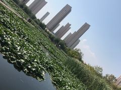 -前关湿地公园